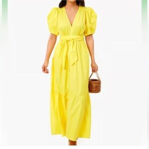 Larkin Maxi Dress (size L/yellow)